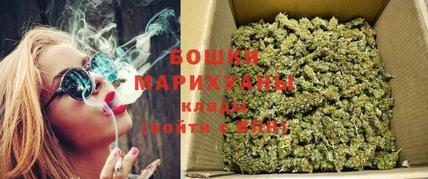 стафф Елизово