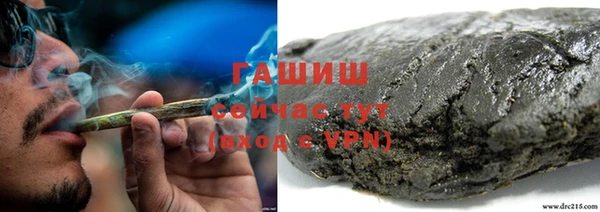 стафф Елизово
