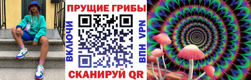 Псилоцибиновые грибы мухоморы Заинск